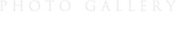 フォトギャラリーを見る